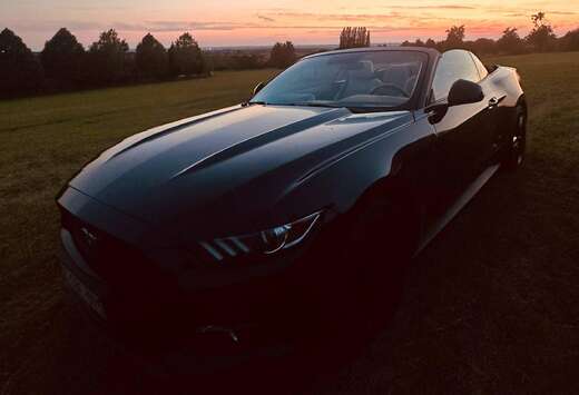 Ford Mustang Convertible 2.3 EcoBoost