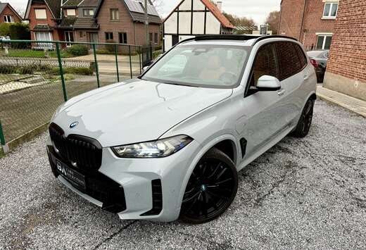 BMW xDrive50e M Individual  360  Adaptive cc  Pano