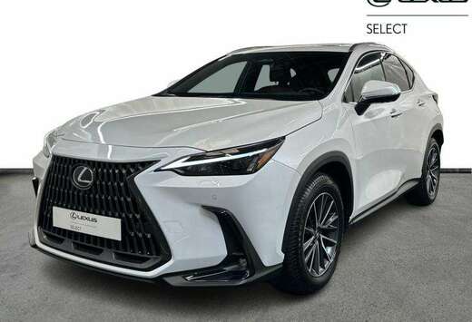 Lexus Executive Line AWD