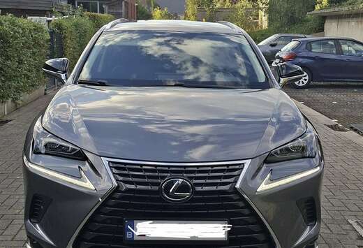 Lexus 2.5i AWD Executive Line E-CVT (EU6.2)