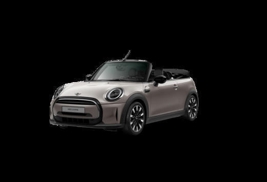 MINI LEATHER  APPLECAR  LED