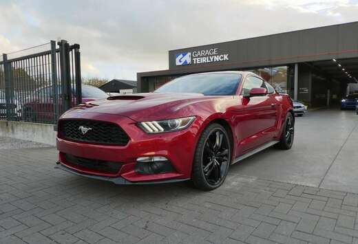 Ford Coupe 2.3 i 317pk Automaat Sport \'17 (37449)