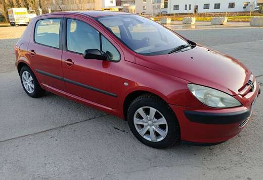 Peugeot 1.6i 16v XS