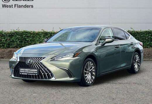 Lexus Privilege Line+360cam+gps+sens V+A