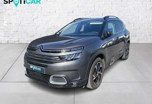 Citroen shine