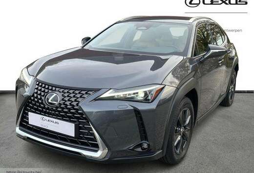 Lexus NEW 300h + Carplay