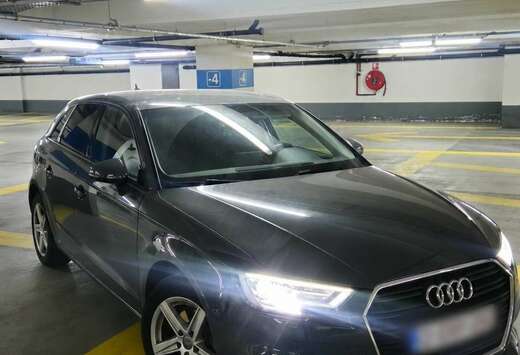 Audi 1.6 TDi