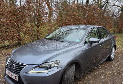Lexus IS 300h 2.5i Executive Line E-CVT