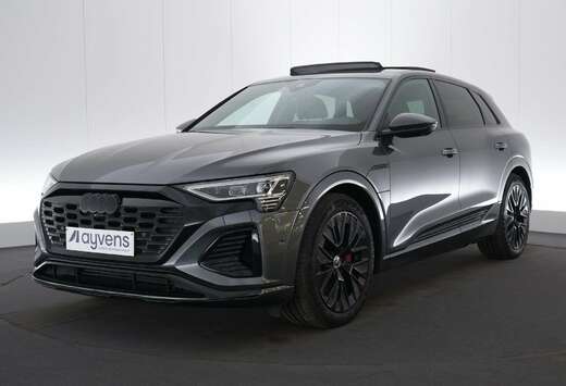 Audi 114 kWh 55 Quattro S-Line Shadow LEDER/CUIR Matr ...