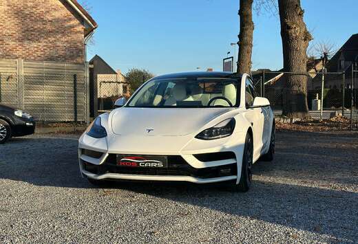 Tesla Model 3 AWD/Dual Motor Performance/513Pk/Garant ...