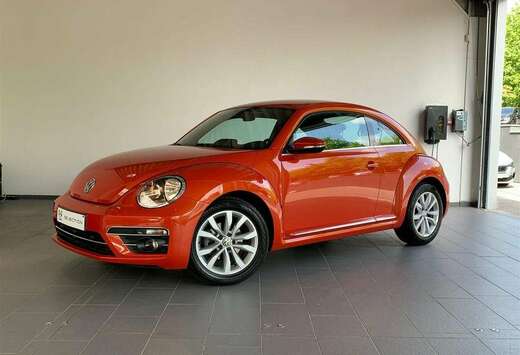 Volkswagen Beetle \