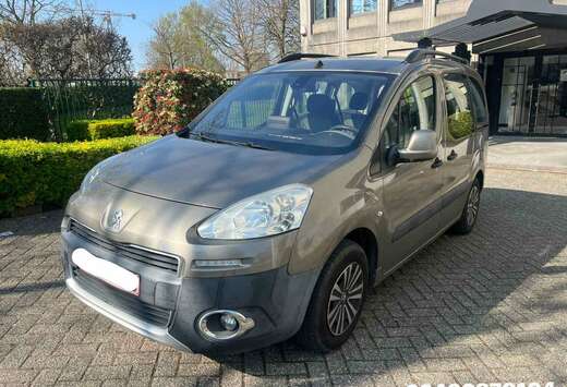 Peugeot Partner Tepee 1.6i Access