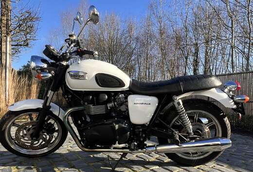 Triumph parelwitte Triumph-kleur