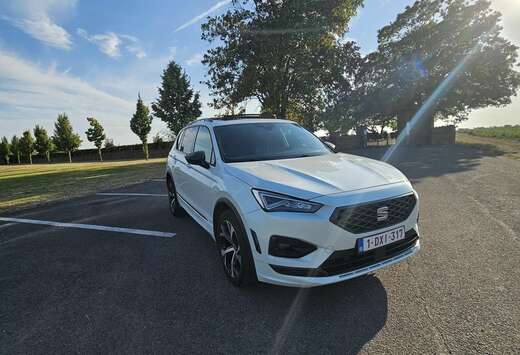 SEAT 2.0 CR TDi FR (EU6AP)