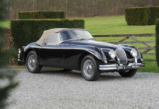 Jaguar 150 OTS