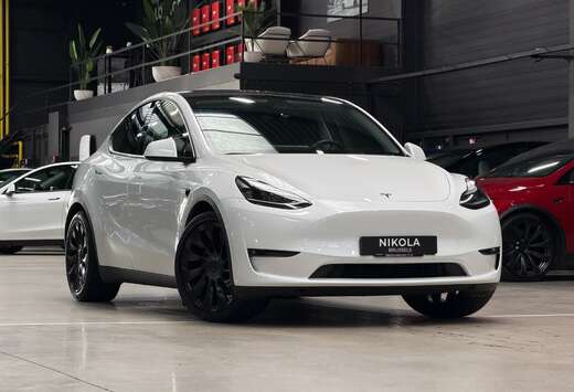 Tesla PERFORMANCE  - RED BRAKES - AUTOPILOT