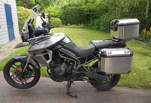 Triumph XRT