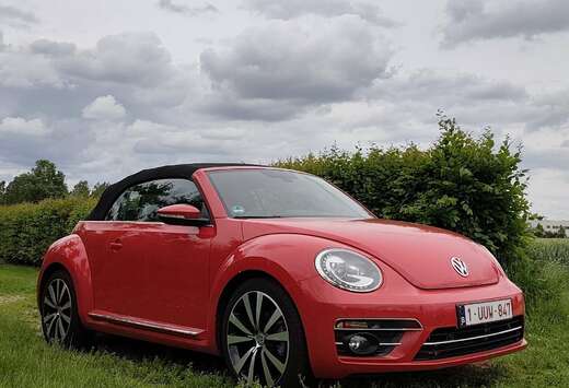 Volkswagen The Cabriolet 1.4 TSI DSG Full option