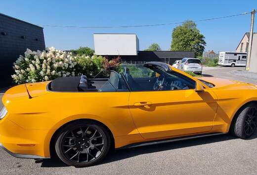 Ford Mustang Convertible 2.3 EcoBoost (EU6.2)