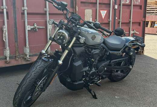 Nightster 2026