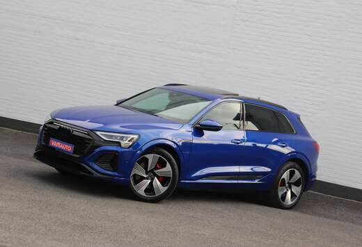 Audi 106 kWh 55 S-line - Shadow+/Pano/Keyless/B&O/21