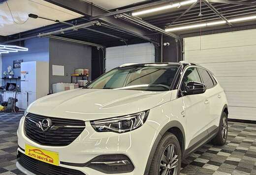 Opel 1.2 bj2019 benzine 111096km