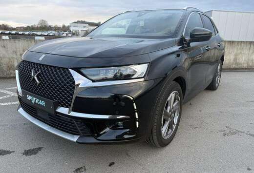 7 Crossback Rivoli