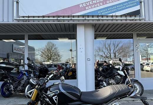 Triumph