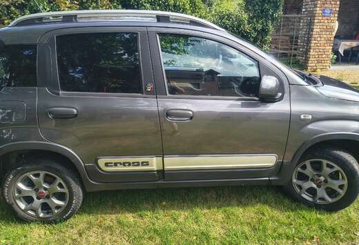 Fiat Panda Cross 0.9 T TwinAir 4x4 Cross (EU6d-TEMP)
