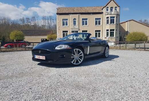 Jaguar Cabriolet 3.6i V8