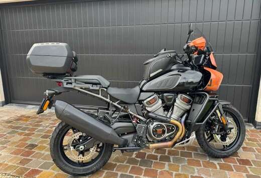 1250 SPECIAL