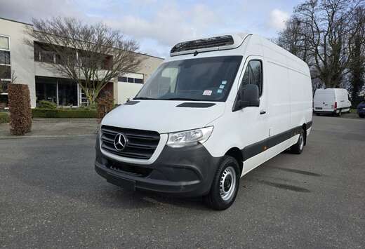 Mercedes-Benz 317 (Stock ID 13616)