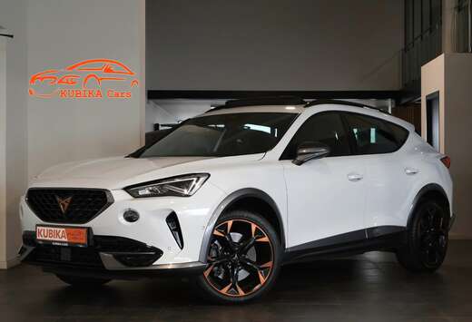 Formentor 2.0 TSI VZ DSG ACC Pano LED Garantie*