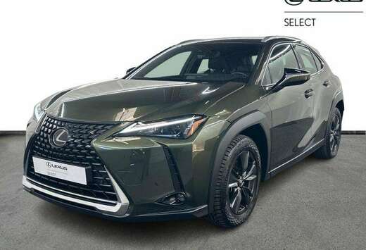 Lexus Business Line 2WD