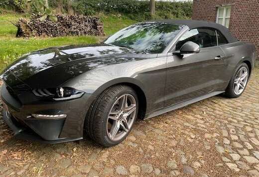 Ford Mustang Convertible 2.3 Eco Boost Aut.