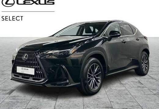 Lexus 244hp HEV Executive L | head up display