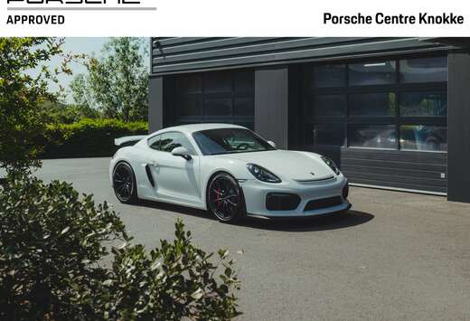 Porsche 981 GT4  NEW  64L  Bucketseats