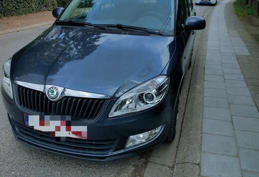 Skoda 1.6 CR TDi Ambiente DPF