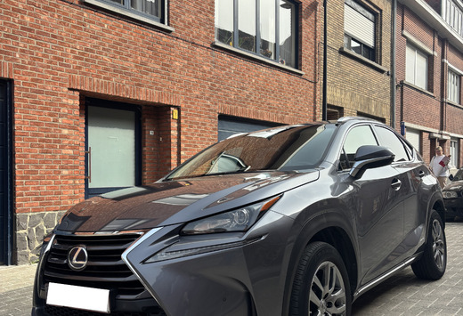 Lexus NX 300h 2.5i AWD Business Edition E-CVT