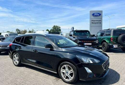 Ford Enkel voor professionele verkoop.
