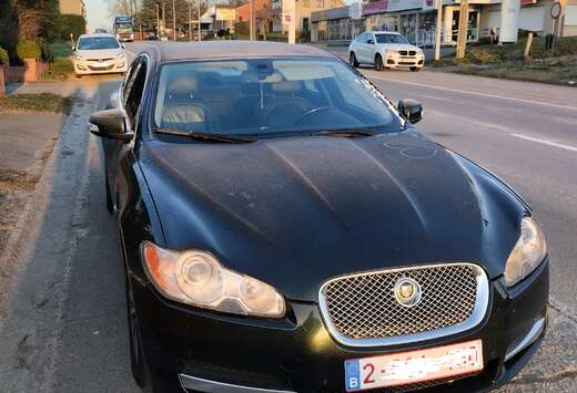 Jaguar XF 2.7 Turbo V6 Luxury