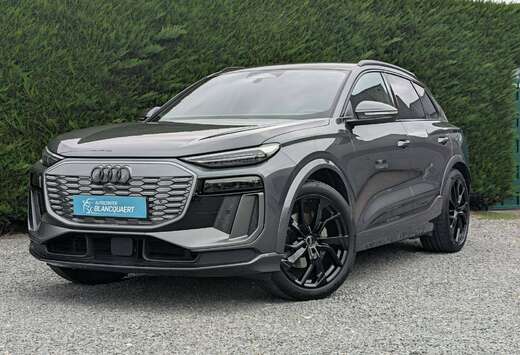 Audi 2x S line - 55 Quattro - 360 camera - lederen sp ...