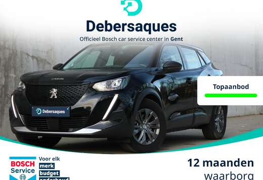 Peugeot Full Elek 100kw Automaat
