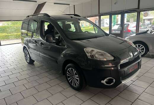 Peugeot Tepee 1.6 HDi //GEKEURD/CAR PASS/garantie