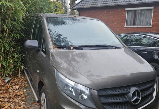 Mercedes-Benz Vito 116 CDI (BlueTEC) Lang Aut. Mixto  ...