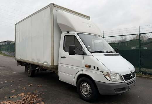 Mercedes-Benz 313 cdi