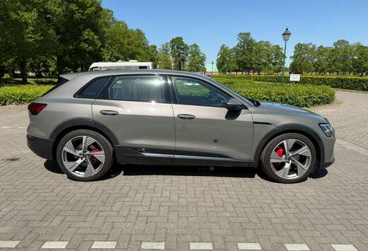 Audi Audi Q8 e-tron 50 quattro S line  Matrix  Luchtv ...