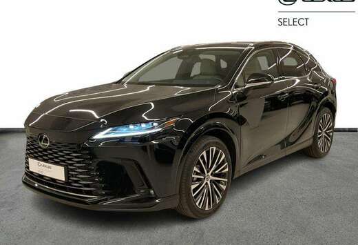 Lexus Executive