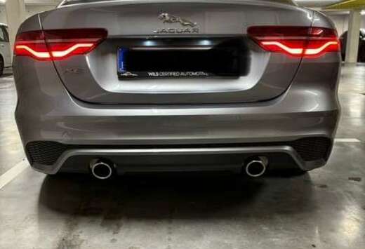 Jaguar XE P250 Aut. R-Dynamic SE