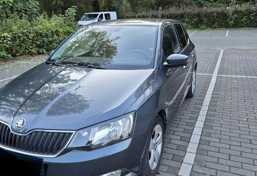 Skoda 1.0